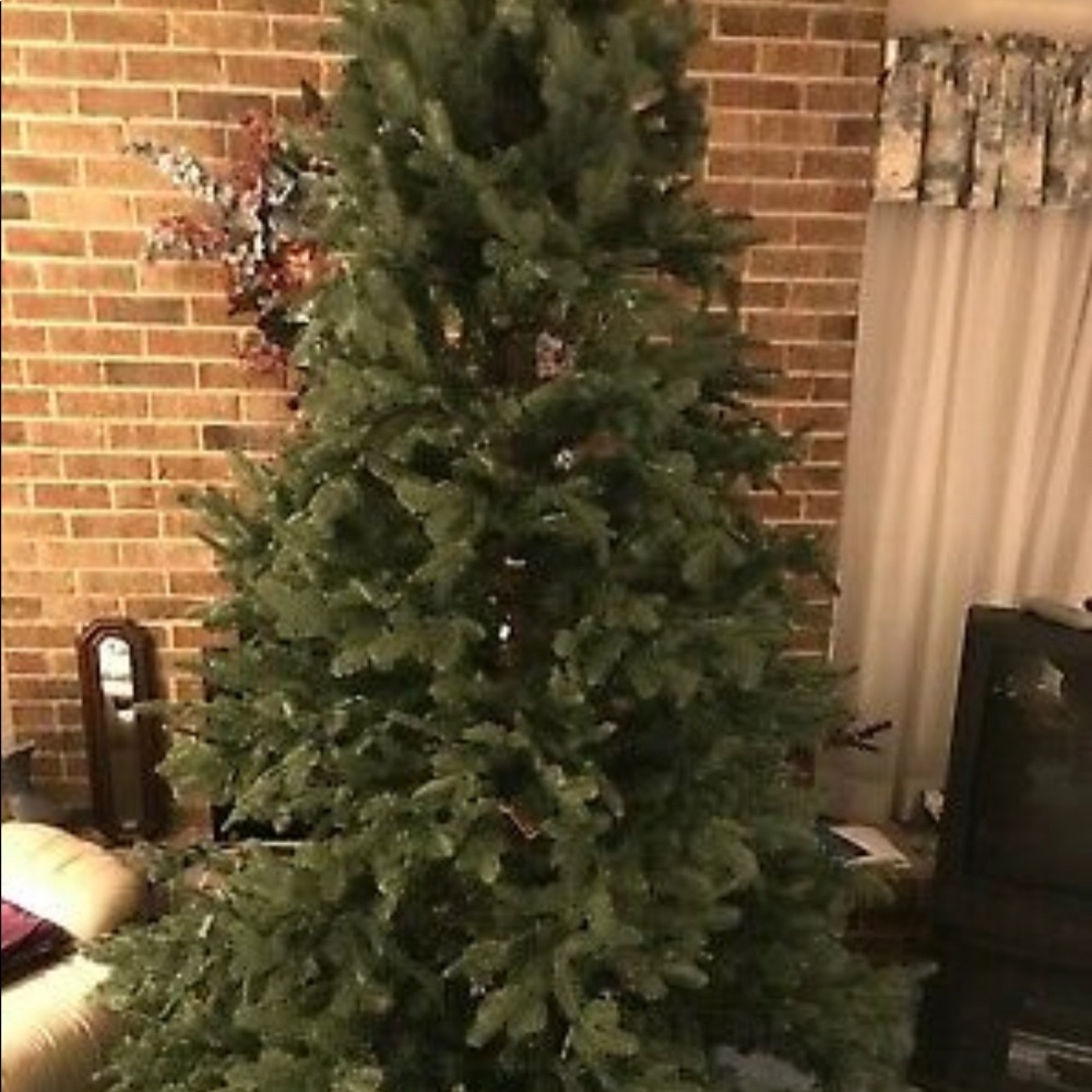 Used Christmas tree